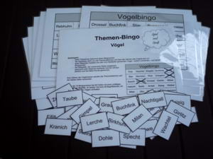 Zahlreiche Themen-Bingo-Spiele mit je 25 Begriffen zu interessanten Themen für Senioren in DinA4 und extra großer Schrift